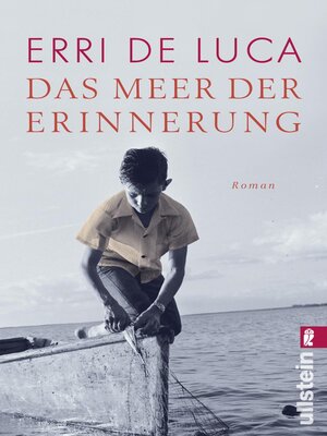 cover image of Das Meer der Erinnerung